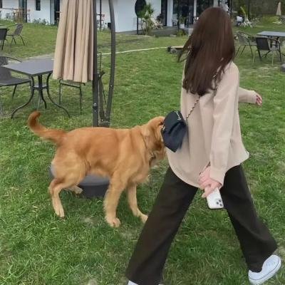 吊颈绳